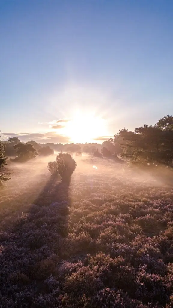 Brummen bij zonsopkomst psycholoog gz